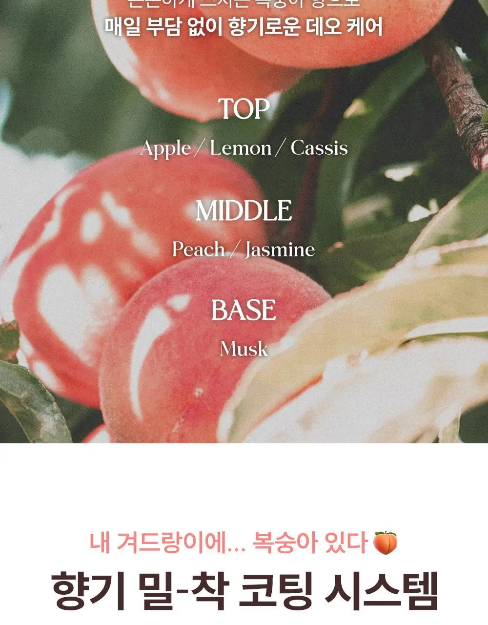 [NEW] 쏘내추럴 파우더포룸 피치 데오 톤업 크림 50ml 상세페이지 11